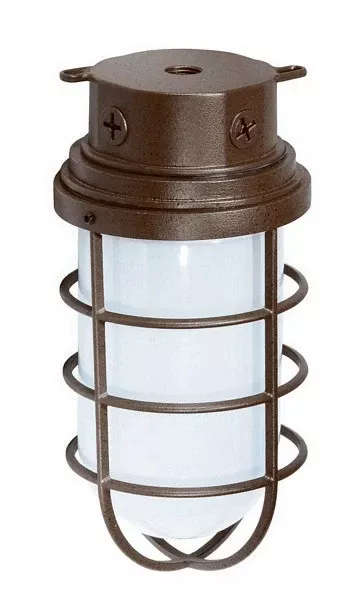 1 Light – 10″ – Industrial Style – Surface Mount W/Frosted Glass 231