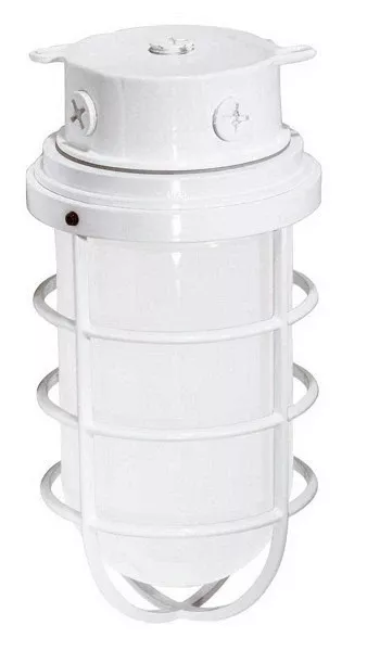 1 Light – 11″ – Industrial Style – Surface Mount W/Frosted Glass 709