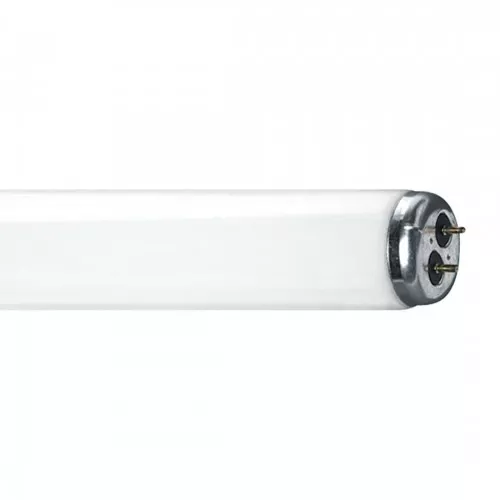 20 Watt - 24" T12 Fluorescent Tube - Preheat Start - Black Light - F20T12/BLF6T5 - 6 Watt - 9"