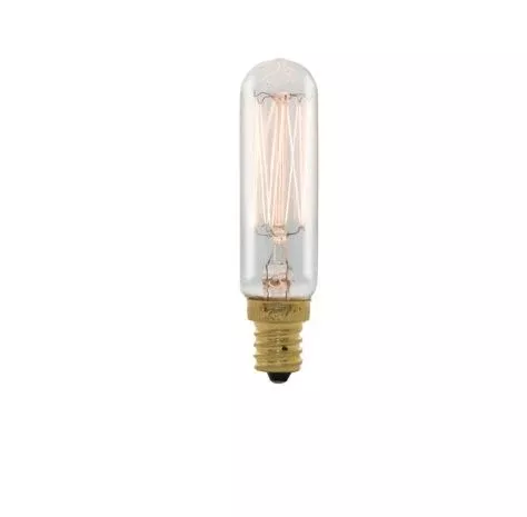 25T6/SQ/E12 Bulbrite 132507