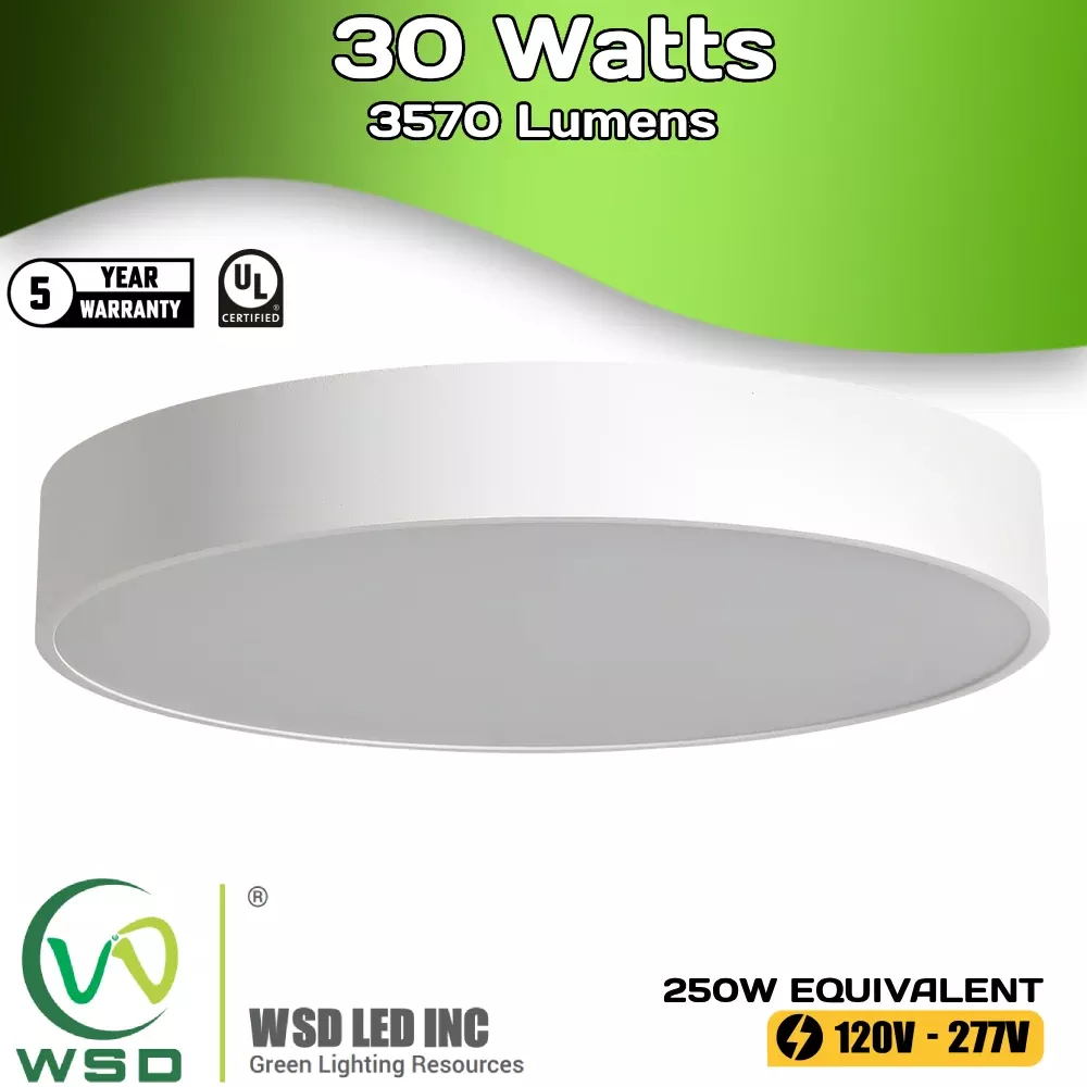 9″ LED Surface Round Down Light