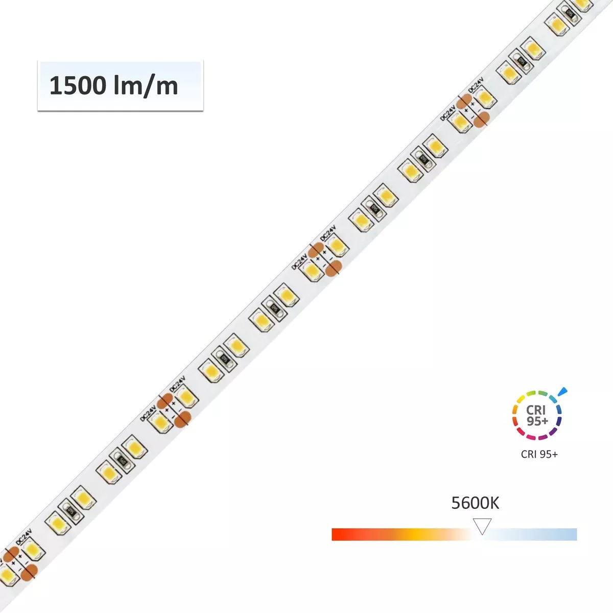 [Clearance Bundle] 5 Reels x CRI 95+ LED Strips (Cool White 5600K, 5M/Reel) – 60% OFF! Limited Stock!